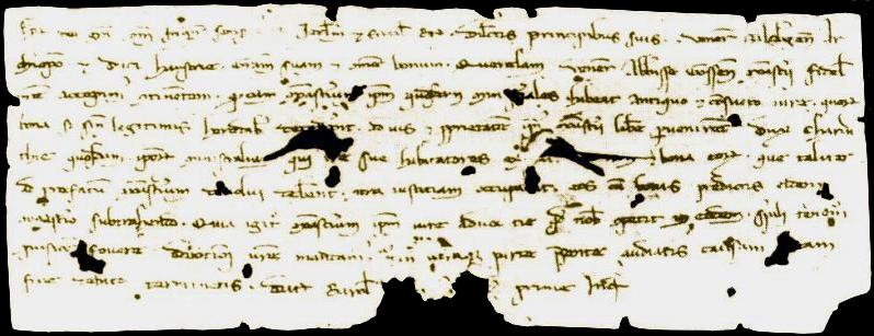 Il più antico documento conservato di Federico II°- Vienna, Archivio di Stato