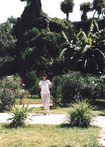 Residence : giardino lato nord