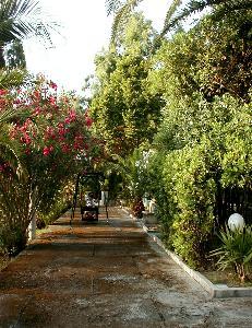 Residence : viale del giardino