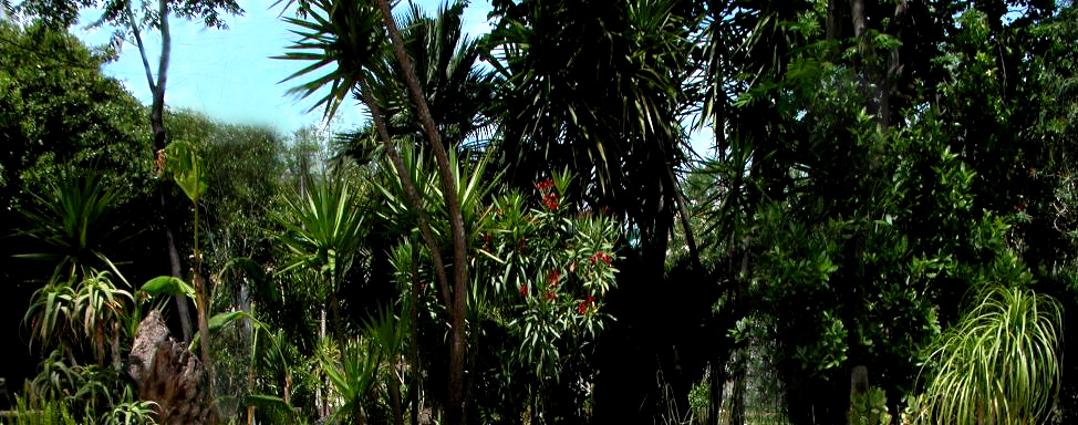 Residence: il giardino visto dal palazzo