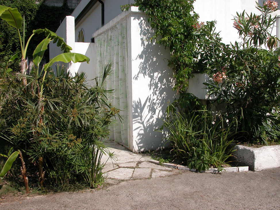 Residence Lattari: le docce esterne in un angolo del giardino