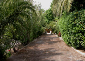 Residence Lattari: il viale del giardino