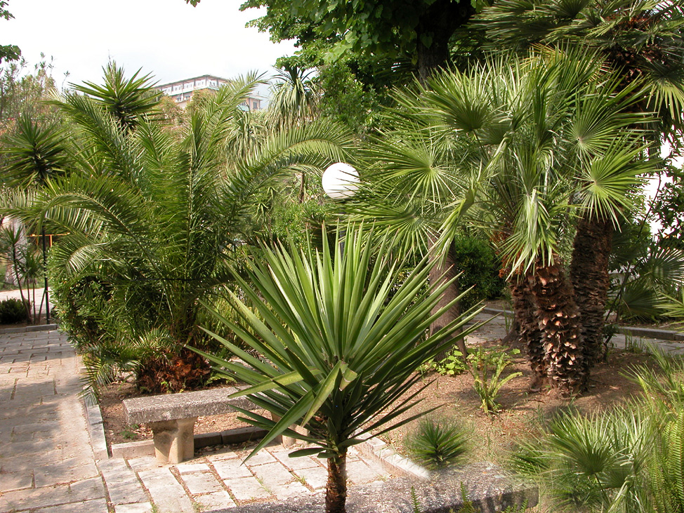 Residence Lattari: un angolo del giardino