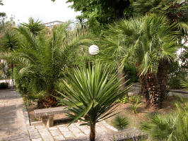 Residence Lattari: un angolo del giardino